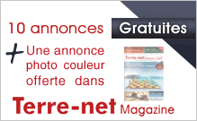 10 annonces gratuites