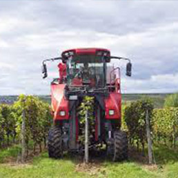 Tracteurs tondeuses occasion en Rhône-Alpes , annonces achat et vente de tracteurs  tondeuses - ParuVendu Mondebarras